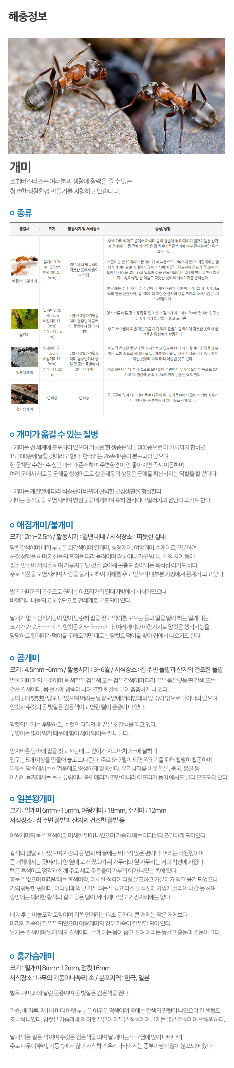 (주)로취버스터즈_상단_주소